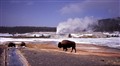 Yellowstone Old Faithful_JF.jpg