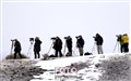 Yellowstone wolf watchers JF.jpg