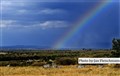 0293 rainbow Mara JF.jpg
