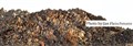 2- 7265 snow leo Ullay JF_00001.jpg