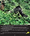LOW Gorillor inlaga (Page 30).jpg