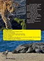 Leoparden Lukas inlaga hardband 9789198559477 (Page 32)_edited.jpg