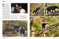 5220-1FELINE TALES-2.jpg