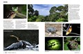 New Saevus Borneo 2023 Jan F 1411-1 EXPLORE-2.jpg