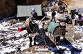 ny 0604 the campsite in Ladakh JF.jpg