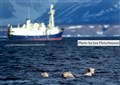 LR Svalbard polar bears JF1.jpg