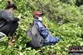 338i1 gorilla tracking K Biega JF.jpg