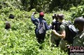 3489 gorilla tracking in K Biega JF.jpg