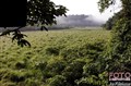 1_Ivindo_NP_Gabon_Jan_Fleischmann.jpg