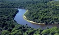 Rio Negro JF.jpg